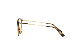 Vue latérale Vogue Eyewear VO5387 (W656)