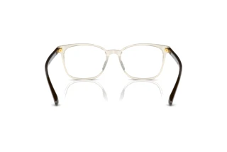 Vue arrière Vogue Eyewear VO5399D (2998)