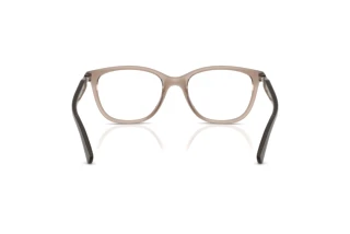 Vue arrière Vogue Eyewear VO5679B (2940)