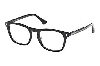 Web Eyewear WE5386 005 Glänzend Schwarz