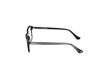 Vue latérale Web Eyewear WE5463 (005)