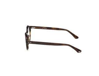 Vue latérale Web Eyewear WE5472 (052)