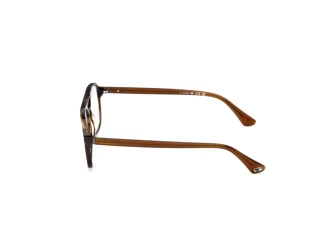 Vue latérale Web Eyewear WE5473 (052)