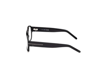 Vue latérale Web Eyewear WE5480 (001)