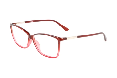 Lunettes de vue Calvin Klein CK21524 N 605