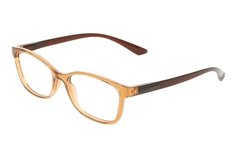 Lunettes de vue Calvin Klein CK23525N 209