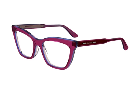 Lunettes de vue Calvin Klein CK24517 N 517