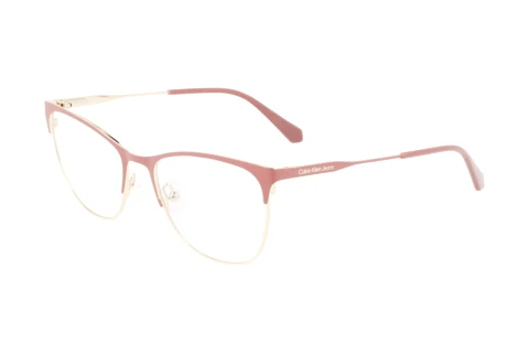 Lunettes de vue Calvin Klein CKJ22206 N 673