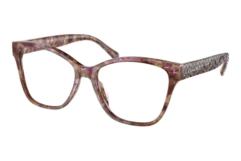 Lunettes de vue Coach HC6207U 5739