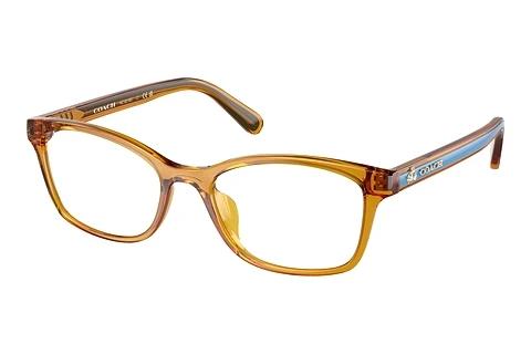 Lunettes de vue Coach HC6216U 5748