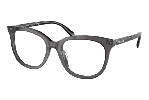 Lunettes de vue Coach HC6223U 5785