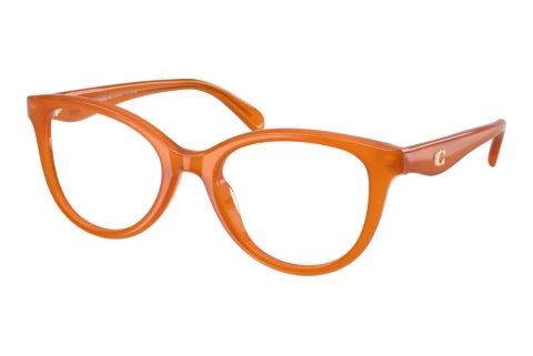 Lunettes de vue Coach HC6284U 5930