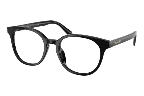 Lunettes de vue Coach HC6301U 5002