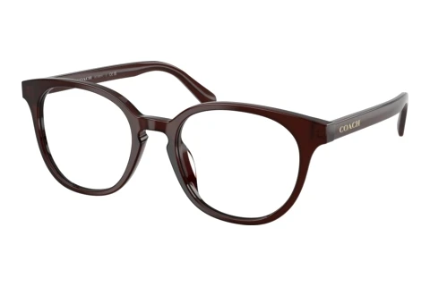 Lunettes de vue Coach HC6301U 5968