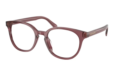 Lunettes de vue Coach HC6301U 5969