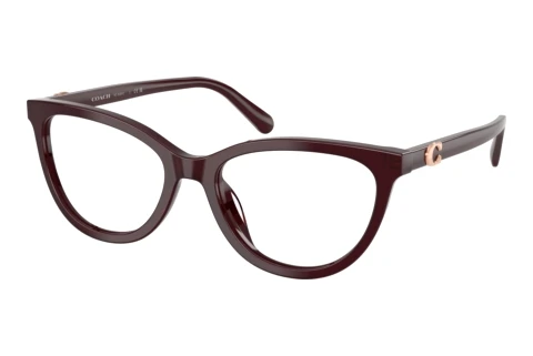 Lunettes de vue Coach HC6304U 5970