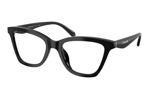 Lunettes de vue Coach HC6306U 5002