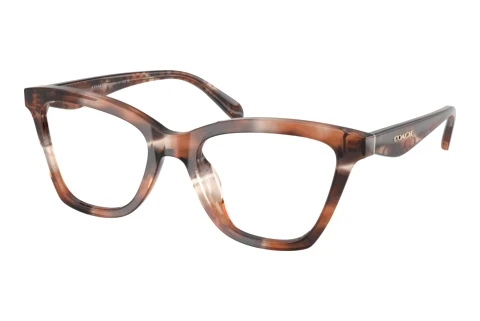 Lunettes de vue Coach HC6306U 5965