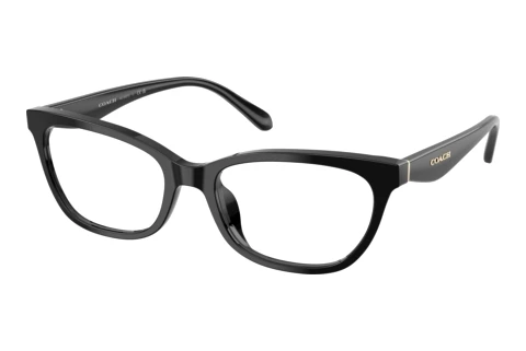 Lunettes de vue Coach HC6307U 5002