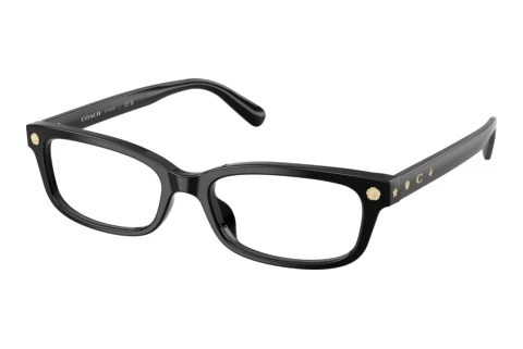Lunettes de vue Coach HC6308U 5002