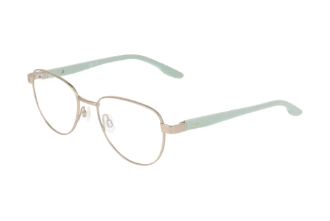 Lunettes de vue Nike NIKE 5401 N 717