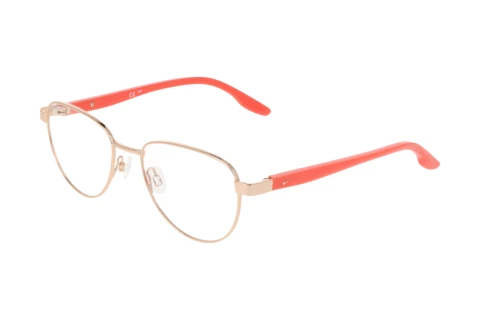 Lunettes de vue Nike NIKE 5401 N 780