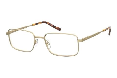 Lunettes de vue Pierre Cardin P.C. 6900 AOZ