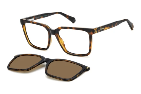 Lunettes de vue Polaroid PLD D556/C 086
