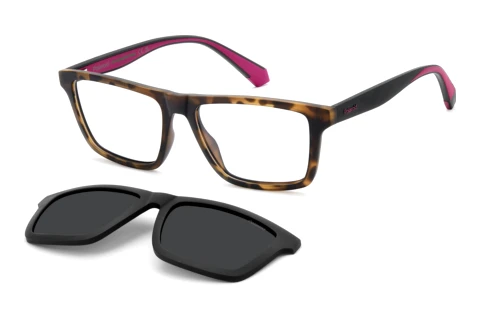Lunettes de vue Polaroid PLD D590/C N9P
