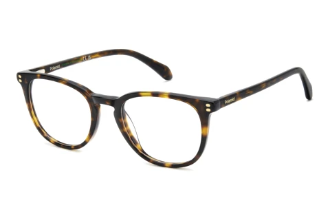 Lunettes de vue Polaroid PLD D609 086