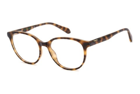 Lunettes de vue Polaroid PLD D624 086