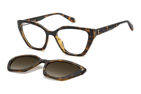 Lunettes de vue Polaroid PLD D637/C 086