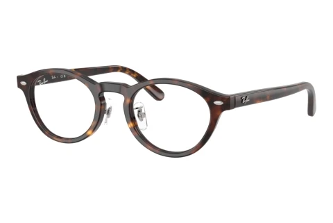 Lunettes de vue Ray-Ban RX5457D 2012