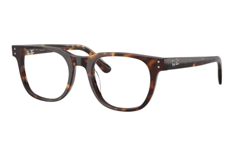 Lunettes de vue Ray-Ban RX5461D 2012
