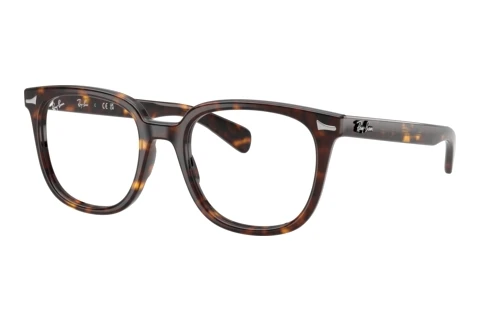 Lunettes de vue Ray-Ban BRUNEL II (RX5535 2012)
