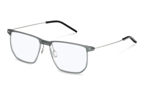 Lunettes de vue Rodenstock R7191 B000