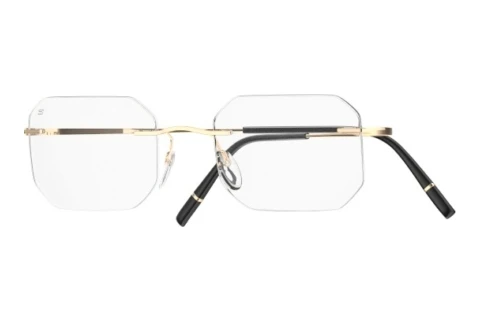 Lunettes de vue Silhouette Titan Minimal Art Stellar (5599-QL 7530)