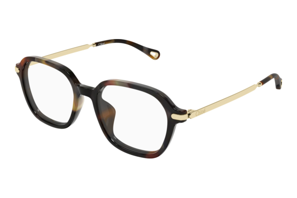 Lunettes de vue Chloé CH0361OA 002
