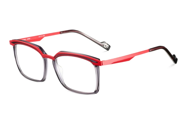 Lunettes de vue Etnia Barcelona MATTEO GYRD