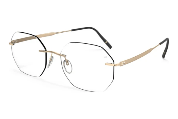 Lunettes de vue Silhouette The Timeless Visionary (5603-LD 7530)