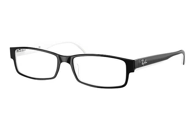 monture ray ban homme vue