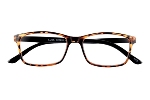  I NEED YOU LUCA G10200 braun-havanna D2.50