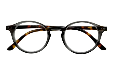  I NEED YOU SASHA G73900 grau havanna D3.50