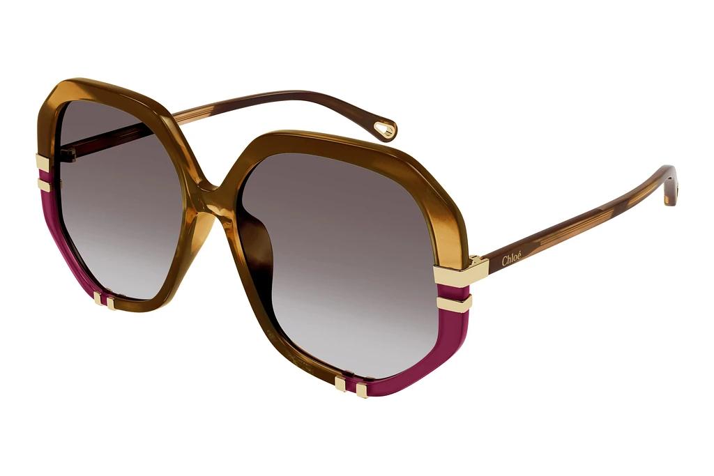 Chloé   CH0105S 009 HAVANA