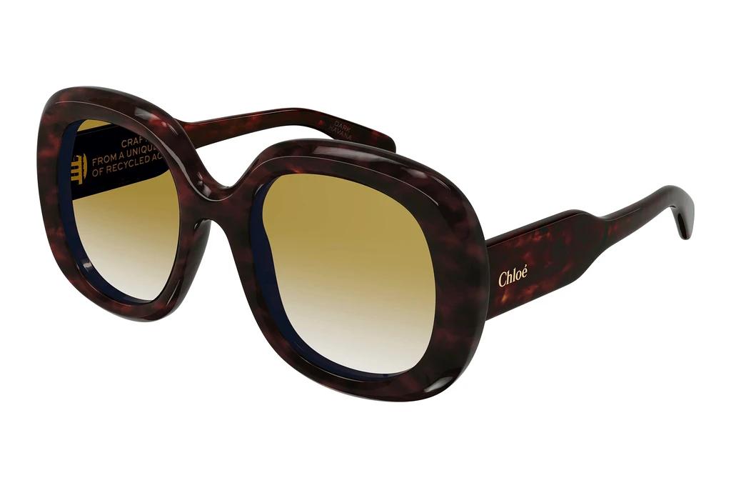 Chloé   CH0153S 002 HAVANA