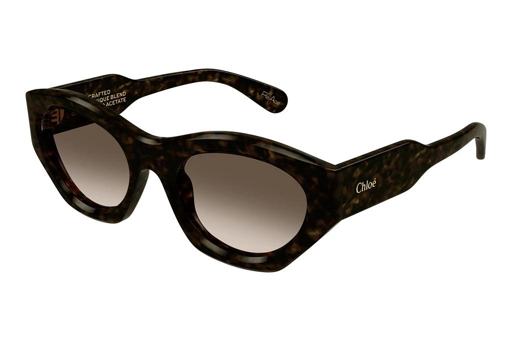 Chloé   CH0220S 002 HAVANA