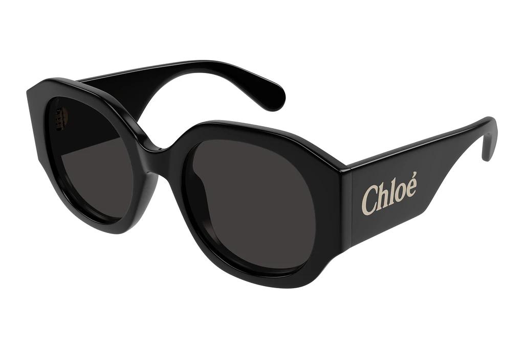 Chloé   CH0234SK 001 