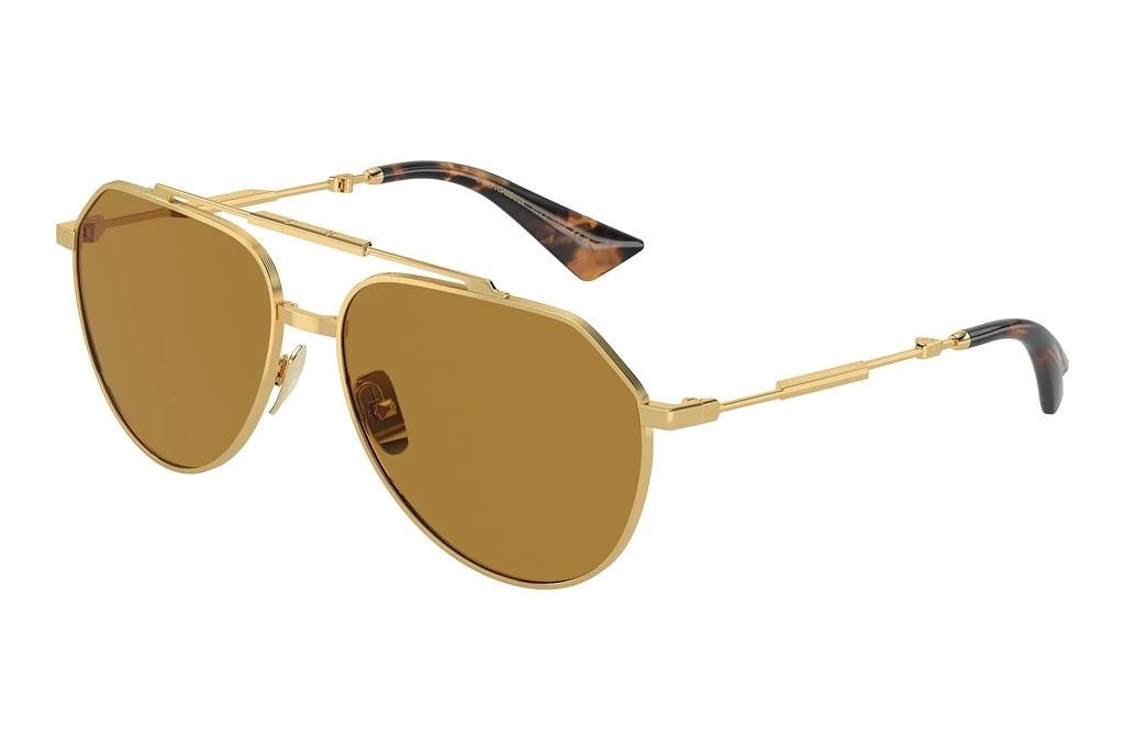 Dolce & Gabbana   DG2302 02/53 BrownGold