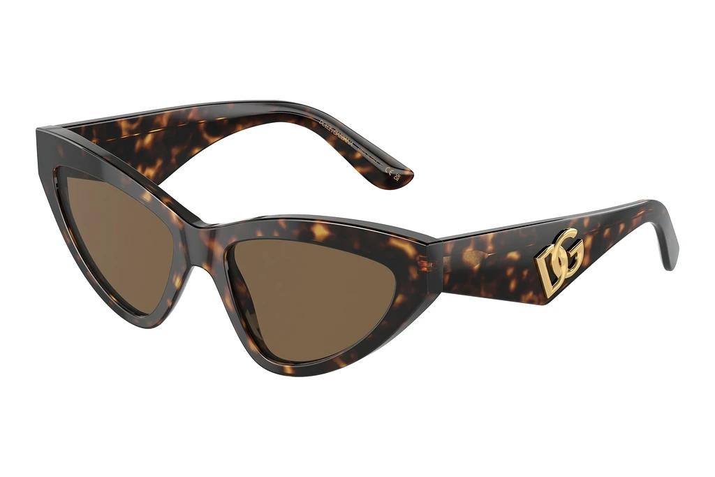 Dolce & Gabbana   DG4439 502/73 Dark BrownHavana