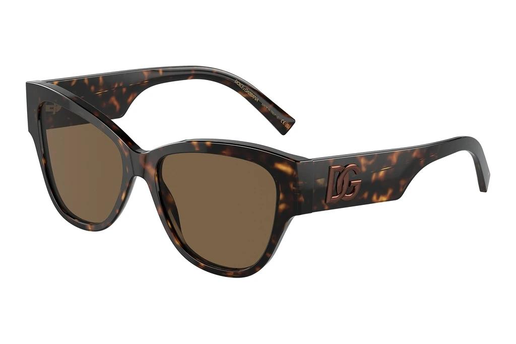 Dolce & Gabbana   DG4449 502/73 Dark BrownHavana